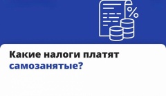 Какие налоги платят самозанятые?