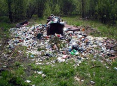 Проблема образования несанкционированных свалок