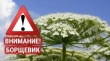 Уважаемые собственники земельных участков! 