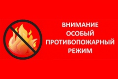 Установлен особый противопожарный режим.