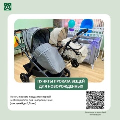 Пункты проката вещей для новорожденных.