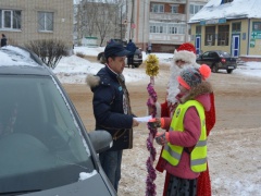 «Безопасные новогодние праздники»   