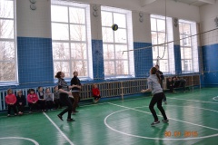 Соревнования по волейболу