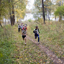 "Осенний лес-2015"